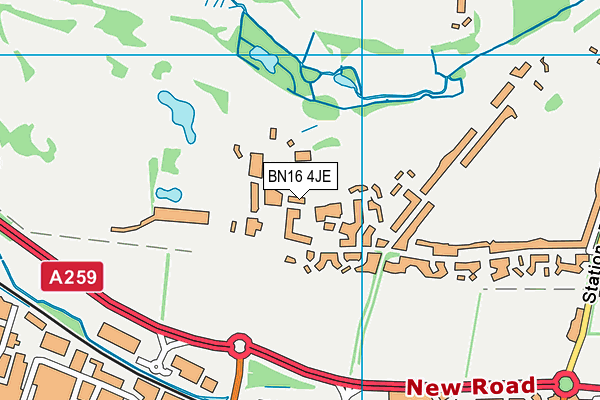 BN16 4JE map - OS VectorMap District (Ordnance Survey) BN16 4JE map - OS VectorMap District (Ordnance Survey)