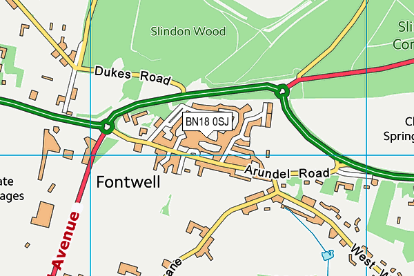 BN18 0SJ map - OS VectorMap District (Ordnance Survey) BN18 0SJ map - OS VectorMap District (Ordnance Survey)