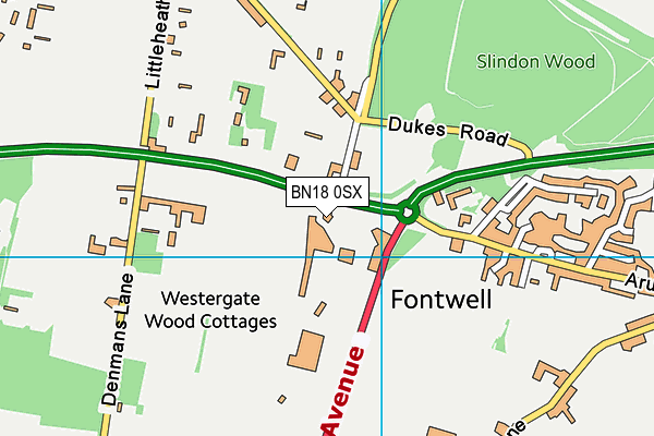 BN18 0SX map - OS VectorMap District (Ordnance Survey)