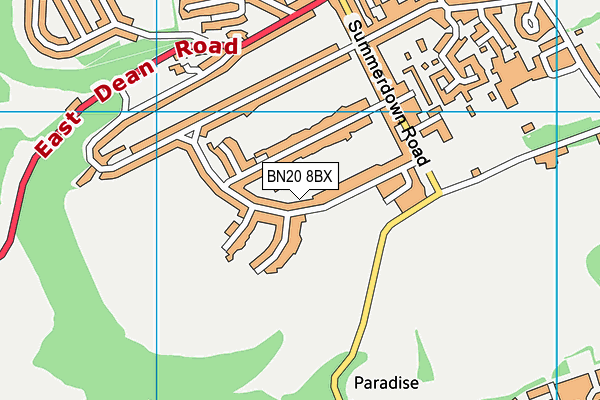 BN20 8BX map - OS VectorMap District (Ordnance Survey) BN20 8BX map - OS VectorMap District (Ordnance Survey)