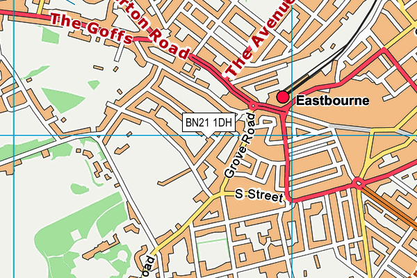 BN21 1DH map - OS VectorMap District (Ordnance Survey) BN21 1DH map - OS VectorMap District (Ordnance Survey)