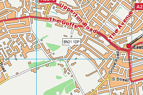 BN21 1DP map - OS VectorMap District (Ordnance Survey) BN21 1DP map - OS VectorMap District (Ordnance Survey)
