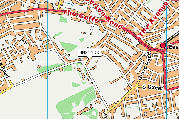 BN21 1DR map - OS VectorMap District (Ordnance Survey) BN21 1DR map - OS VectorMap District (Ordnance Survey)