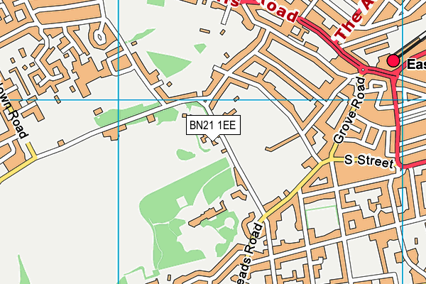 BN21 1EE map - OS VectorMap District (Ordnance Survey) BN21 1EE map - OS VectorMap District (Ordnance Survey)