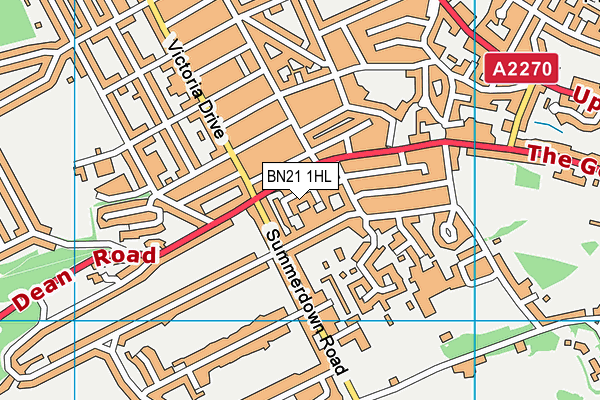 BN21 1HL map - OS VectorMap District (Ordnance Survey)