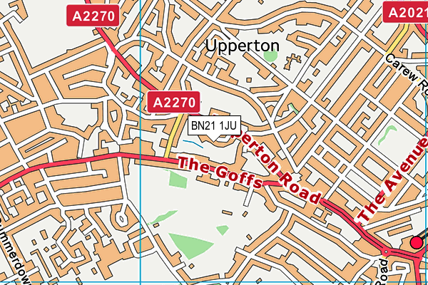 BN21 1JU map - OS VectorMap District (Ordnance Survey)