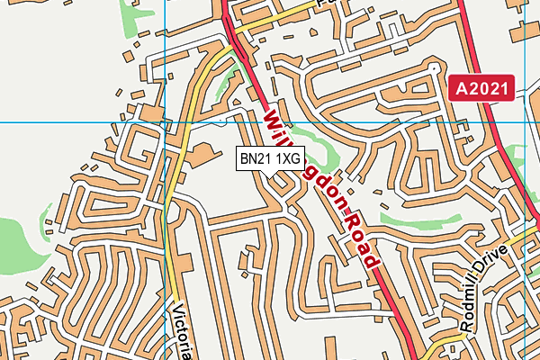 BN21 1XG map - OS VectorMap District (Ordnance Survey) BN21 1XG map - OS VectorMap District (Ordnance Survey)