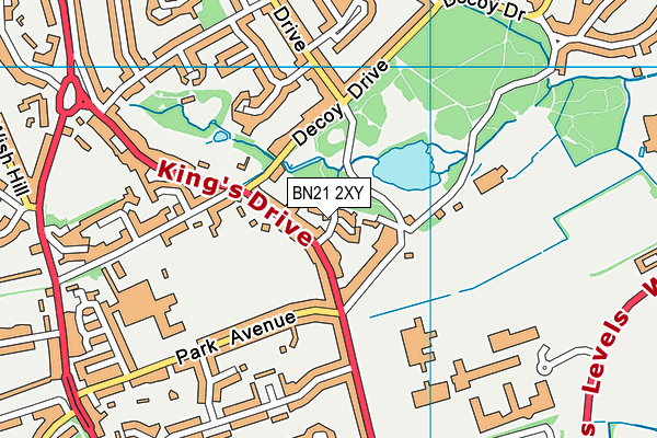 BN21 2XY map - OS VectorMap District (Ordnance Survey) BN21 2XY map - OS VectorMap District (Ordnance Survey)
