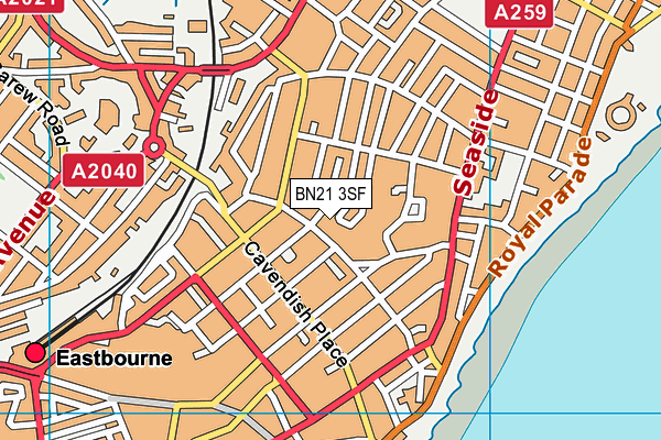 BN21 3SF map - OS VectorMap District (Ordnance Survey) BN21 3SF map - OS VectorMap District (Ordnance Survey)