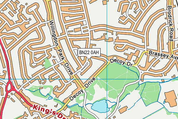 BN22 0AH map - OS VectorMap District (Ordnance Survey) BN22 0AH map - OS VectorMap District (Ordnance Survey)