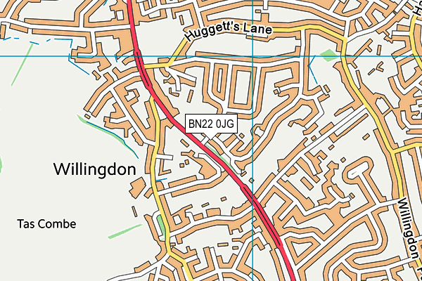 BN22 0JG map - OS VectorMap District (Ordnance Survey) BN22 0JG map - OS VectorMap District (Ordnance Survey)