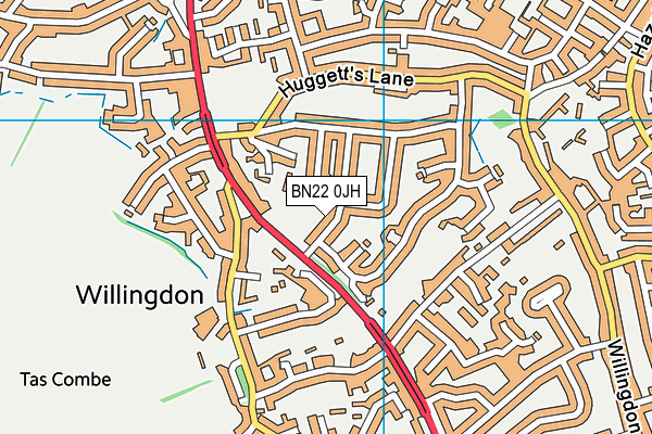 BN22 0JH map - OS VectorMap District (Ordnance Survey) BN22 0JH map - OS VectorMap District (Ordnance Survey)