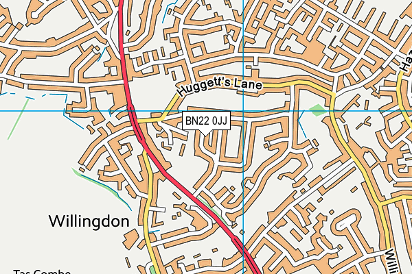 BN22 0JJ map - OS VectorMap District (Ordnance Survey) BN22 0JJ map - OS VectorMap District (Ordnance Survey)