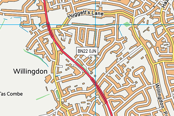 BN22 0JN map - OS VectorMap District (Ordnance Survey) BN22 0JN map - OS VectorMap District (Ordnance Survey)