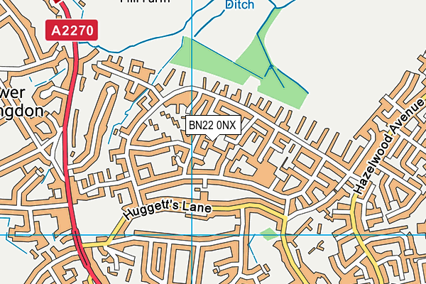 BN22 0NX map - OS VectorMap District (Ordnance Survey)