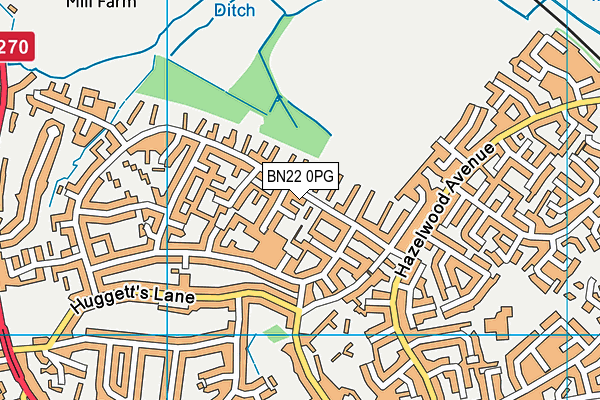 BN22 0PG map - OS VectorMap District (Ordnance Survey) BN22 0PG map - OS VectorMap District (Ordnance Survey)