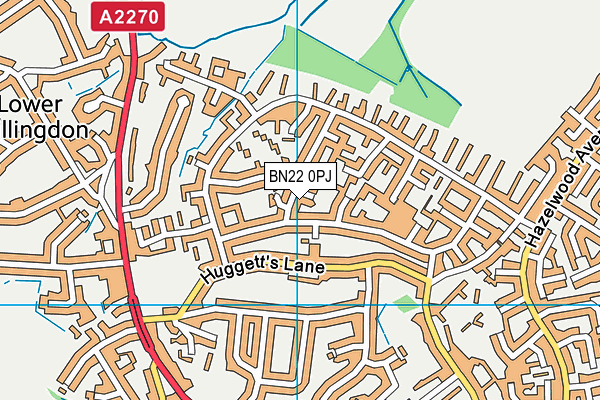 BN22 0PJ map - OS VectorMap District (Ordnance Survey) BN22 0PJ map - OS VectorMap District (Ordnance Survey)