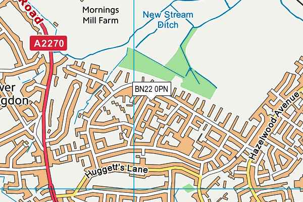 BN22 0PN map - OS VectorMap District (Ordnance Survey) BN22 0PN map - OS VectorMap District (Ordnance Survey)