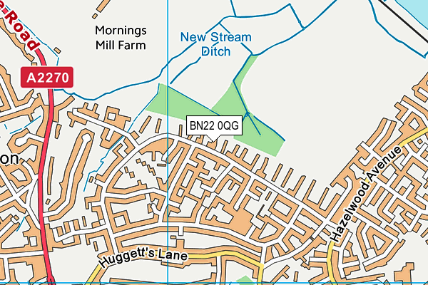 BN22 0QG map - OS VectorMap District (Ordnance Survey) BN22 0QG map - OS VectorMap District (Ordnance Survey)