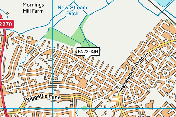BN22 0QH map - OS VectorMap District (Ordnance Survey) BN22 0QH map - OS VectorMap District (Ordnance Survey)