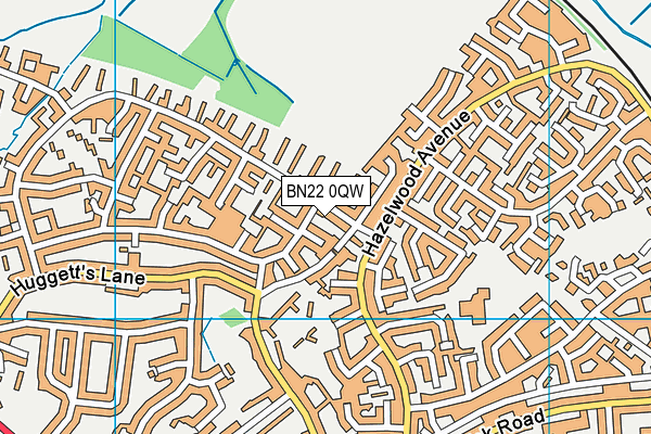 BN22 0QW map - OS VectorMap District (Ordnance Survey) BN22 0QW map - OS VectorMap District (Ordnance Survey)