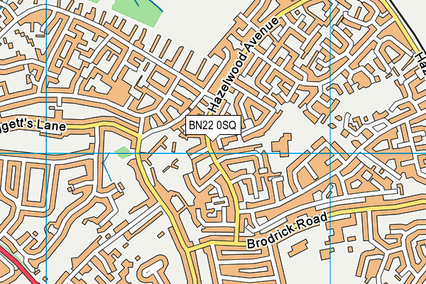 BN22 0SQ map - OS VectorMap District (Ordnance Survey) BN22 0SQ map - OS VectorMap District (Ordnance Survey)