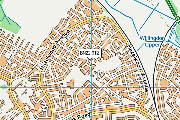BN22 0TZ map - OS VectorMap District (Ordnance Survey) BN22 0TZ map - OS VectorMap District (Ordnance Survey)