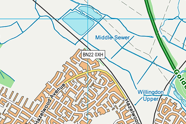BN22 0XH map - OS VectorMap District (Ordnance Survey) BN22 0XH map - OS VectorMap District (Ordnance Survey)