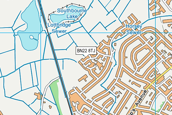 BN22 8TJ map - OS VectorMap District (Ordnance Survey) BN22 8TJ map - OS VectorMap District (Ordnance Survey)