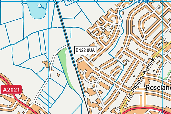 BN22 8UA map - OS VectorMap District (Ordnance Survey) BN22 8UA map - OS VectorMap District (Ordnance Survey)
