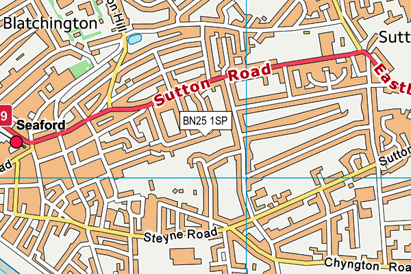 BN25 1SP map - OS VectorMap District (Ordnance Survey)