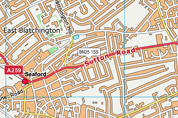 BN25 1SS map - OS VectorMap District (Ordnance Survey)