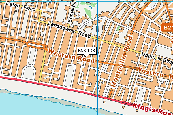 BN3 1DB map - OS VectorMap District (Ordnance Survey) BN3 1DB map - OS VectorMap District (Ordnance Survey)