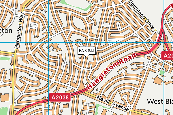 BN3 8JJ map - OS VectorMap District (Ordnance Survey) BN3 8JJ map - OS VectorMap District (Ordnance Survey)