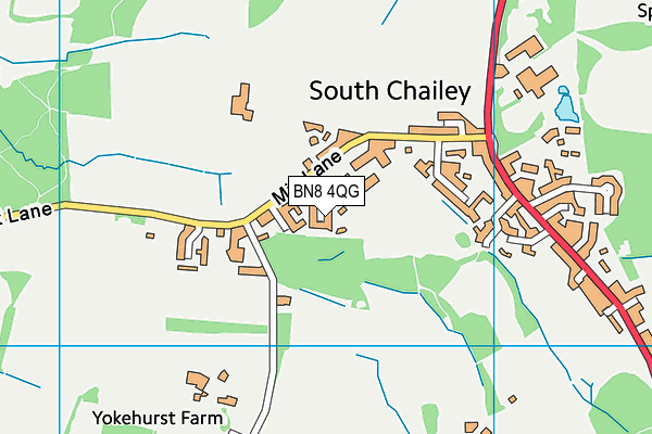 BN8 4QG map - OS VectorMap District (Ordnance Survey) BN8 4QG map - OS VectorMap District (Ordnance Survey)