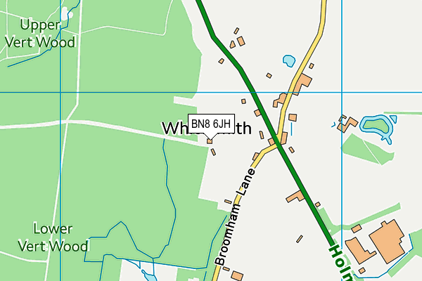BN8 6JH map - OS VectorMap District (Ordnance Survey) BN8 6JH map - OS VectorMap District (Ordnance Survey)