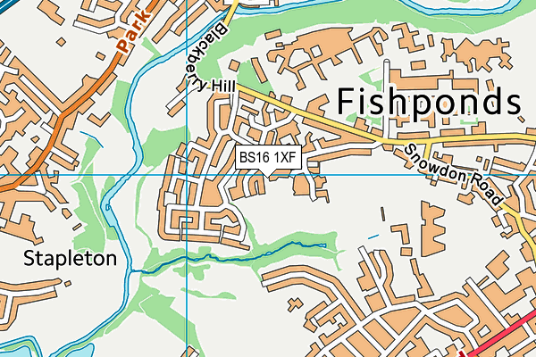 BS16 1XF map - OS VectorMap District (Ordnance Survey) BS16 1XF map - OS VectorMap District (Ordnance Survey)
