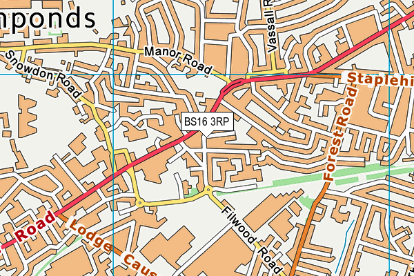 BS16 3RP map - OS VectorMap District (Ordnance Survey) BS16 3RP map - OS VectorMap District (Ordnance Survey)