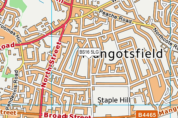 BS16 5LG map - OS VectorMap District (Ordnance Survey) BS16 5LG map - OS VectorMap District (Ordnance Survey)