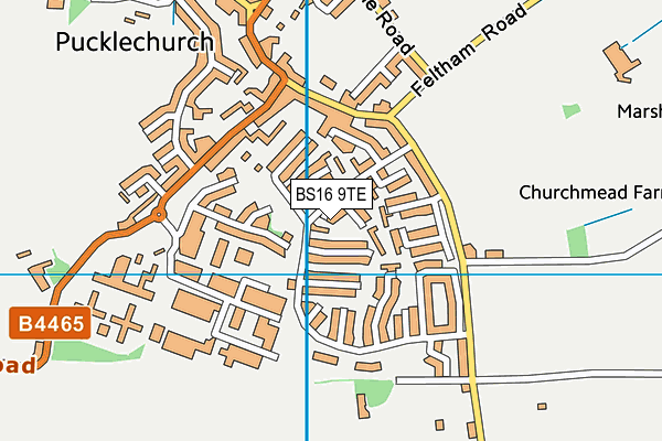 BS16 9TE map - OS VectorMap District (Ordnance Survey) BS16 9TE map - OS VectorMap District (Ordnance Survey)