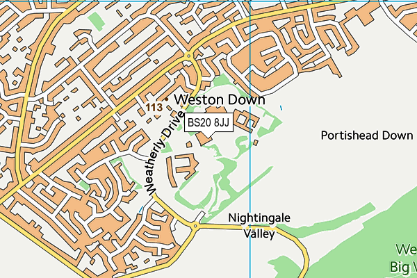 BS20 8JJ map - OS VectorMap District (Ordnance Survey) BS20 8JJ map - OS VectorMap District (Ordnance Survey)