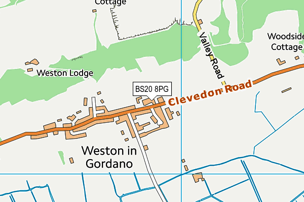BS20 8PG map - OS VectorMap District (Ordnance Survey)
