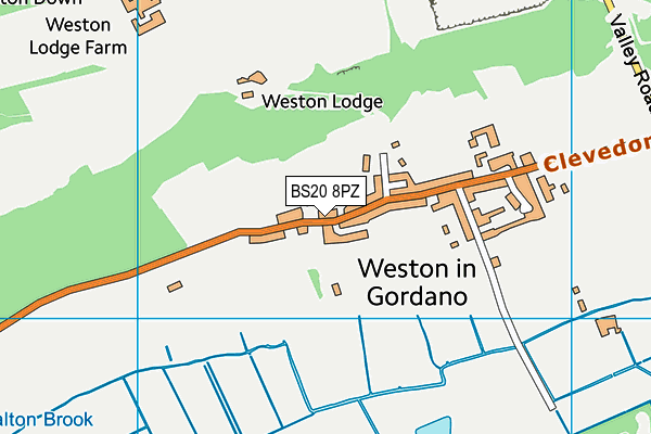 BS20 8PZ map - OS VectorMap District (Ordnance Survey)