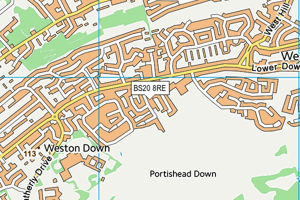 BS20 8RE map - OS VectorMap District (Ordnance Survey)