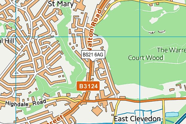 BS21 6AG map - OS VectorMap District (Ordnance Survey)