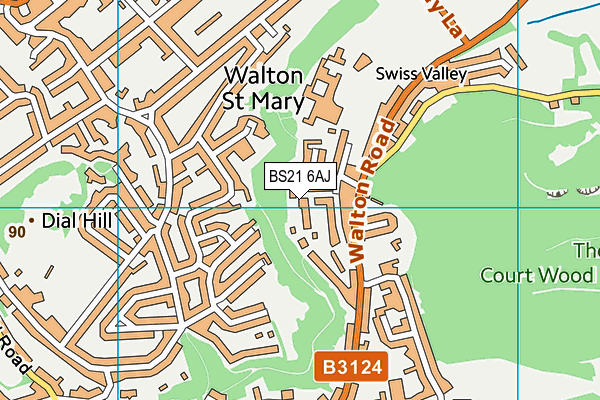 BS21 6AJ map - OS VectorMap District (Ordnance Survey)