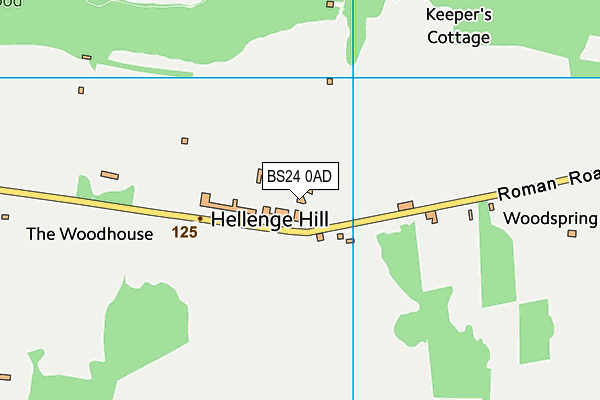 BS24 0AD map - OS VectorMap District (Ordnance Survey) BS24 0AD map - OS VectorMap District (Ordnance Survey)