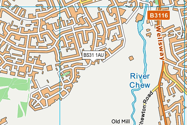 BS31 1AU map - OS VectorMap District (Ordnance Survey) BS31 1AU map - OS VectorMap District (Ordnance Survey)