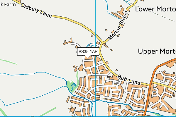 BS35 1AP map - OS VectorMap District (Ordnance Survey) BS35 1AP map - OS VectorMap District (Ordnance Survey)