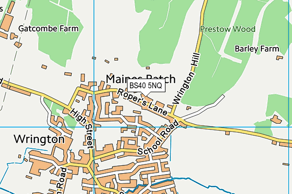 BS40 5NQ map - OS VectorMap District (Ordnance Survey) BS40 5NQ map - OS VectorMap District (Ordnance Survey)